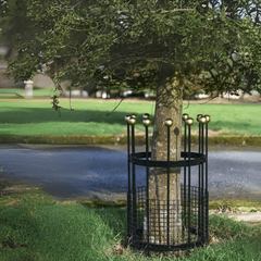 Bluelotus Enterprises