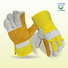 Bluelotus Enterprises