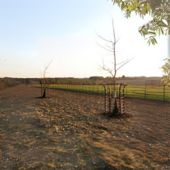 Bluelotus Enterprises